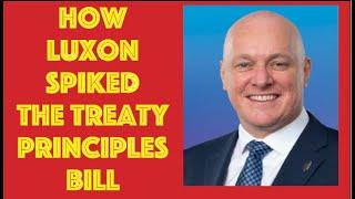 How Luxon Spiked The Treaty Principles Bill