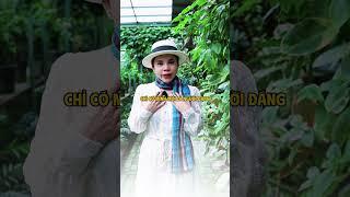 7 chữ đừng để sống thực tế hơn