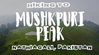 MUSHKPURI PEAK | NATHIAGALI | Hiking to the top | by BeingAtraveler.com