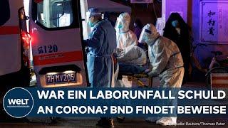 CORONA: Laborunfall in Wuhan Auslöser der Pandemie? BND sieht Beweise! Das steckt dahinter