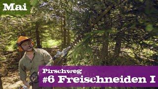 Pirschweg #6 Freischneiden I | Mai | Ein Jagdjahr durchs Jagdrevier