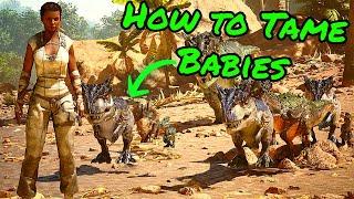 How to Tame BABIES in ARK SURVIVAL ASCENDED! How to tame wild babies!