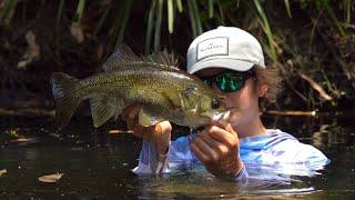 TOPWATER Fishing For BIG Creek Bass!