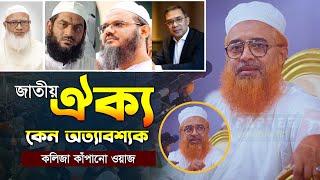 জাতীয় ঐক্য নিয়ে যা বললেন আল্লামা খুরশিদ আলম কাসেমী | Allama Khurshid Alam Kasemi | New Waz 2024