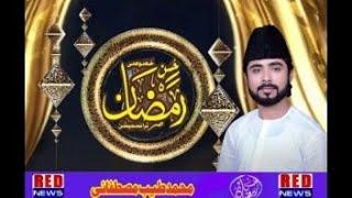 Madine Se Bulawa Aa Raha Hai | Muhammad Tayyab Mustafai Most Emotional New Naat 2022