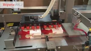 Top Load Case Packer Running Cartons with Integrated Erect, Load, and Seal in One Machine