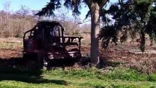 Prinoth/AHWI RT400: Mulcher felling large tree.