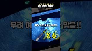 감사일기 61일차 #인공수정 #인공수정1차성공 #과배란 #난포키우기 #난임브이로그 #임신준비