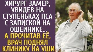 Хирург замер, увидев на ступеньках пса с запиской на ошейнике… Прочитав, врач поднял клинику на уши