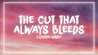 Conan Gray - The Cut That Always Bleeds (Lyrics)