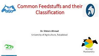 Common feedstuff and their classification