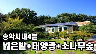 아산전원주택매매ㅣ송악시내4분+멋진 소나무숲ㅣ텃밭130평.태양광5kwㅣS134