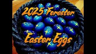 2025 Subaru Forester Easter Eggs