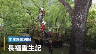 瀕滅校後重生　南投首間非原民實驗小學｜少年新聞週記 #鏡新聞