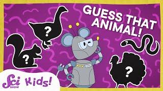 Can You Guess These Fall Animals with Jessi and Sam? | SciShow Kids Compilation