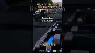 반대차선 까지 넘어 자율주행하는 테슬라