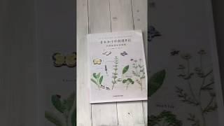 Ботаническая вышивка и бабочки