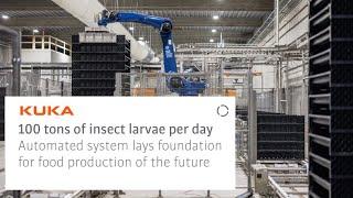 Palletizing 100 tons of larvae per day: Automated system lays foundation for future food production