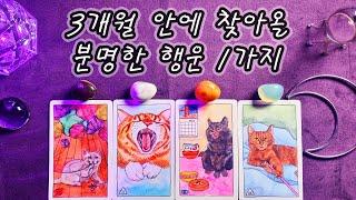 [타로] 3개월 안에 찾아올, 분명한 행운 1가지