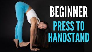 PRESS TO HANDSTAND // Beginner Follow Along Routine