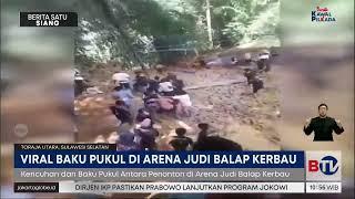 Baku Hantam Pecah di Arena Adu Kerbau Toraja Utara, Apa Pemicunya? | Beritasatu