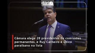 Câmara elege 28 presidentes de comissões permanentes, e Ruy Carneiro é o único paraibano na lista