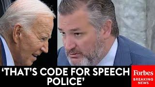 Ted Cruz Rails Against 'DEI Speech Police Efforts' From Biden Administration