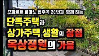 단독주택, 상가주택 생활의 즐거움-옥상정원의 가을  /단독주택,상가주택의 장점/모짜르트 피아노 협주곡 20번과 옥상정원의 가을