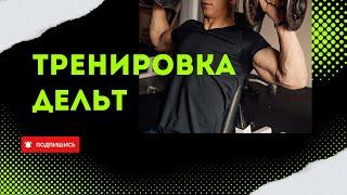 ТРЕНИРОВКА ДЕЛЬТ. 4 УПРАЖНЕНИЯ