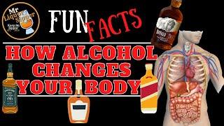 How Alcohol Changes Your Body