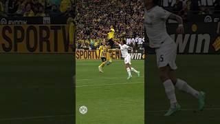 Borussia 