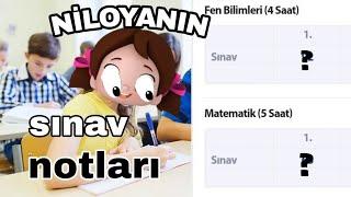 NİLOYANIN SINAV NOTLARI