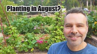 What Vegetables Can I Still Plant in August? IN ANY CLIMATE