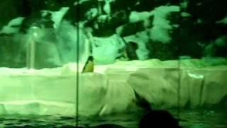 Falling Penguin