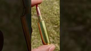 6.8 Western Accubond LR 165gr 300 Yard 6” Shot #precisionrifle
