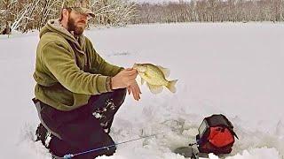 Snow Storm Panfish on the Mississippi River Backwaters