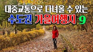 대중교통으로 다녀올 수 있는 수도권의 아름다운 가을여행지 9곳