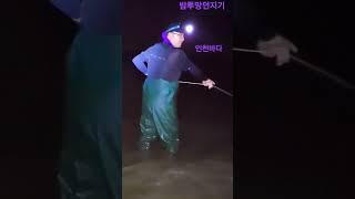하나게 밤투망을 던져라#Shorts#바다투망#fishing #cast #바닷바람 #서해바다