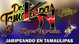 Jaripeando en tamaulipas (audio) - Klave Norteña / Desde Tamaulipas