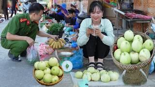 Harvest pears to sell, feed pets and collect luffa seeds