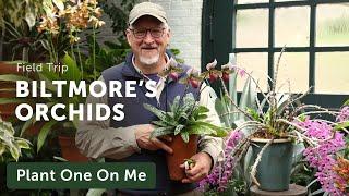 Tour BILTMORE'S ORCHID Conservatory — Ep. 372