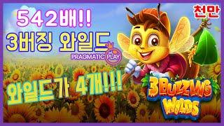 [슬롯] 프라그마틱3버징 와일드꿀단지 와일드 4개 주룩주룩! [슬롯][프라그마틱][슬롯잭팟][슬롯사이트][슬롯추천][대박이]