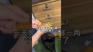 板料经常被剪掉的原因#黄金 #板料#水贝