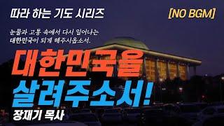 (따라하는 기도시리즈) 244 대한민국을 살리는 기도, 나라와 민족을 위한 기도, 계엄령, 대통령 / 장재기 목사 NO BGM