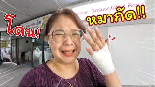 โดนหมากัด!! ต้องไปหาหมอทำแผลใหญ่มากก.. | แม่ปูเป้ เฌอแตม Tam Story