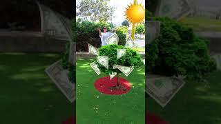 Who are you in life? #shorts Tiktok Video with meaning by Tiktoriki