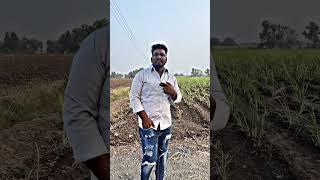 Dangerous ️️️…….. #youtubeshorts #subscribe #like ￼