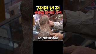 7천만 년 전 공룡알 화석의 가격