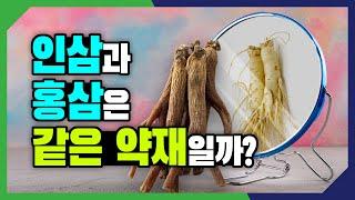 내 몸에는 인삼? 홍삼?