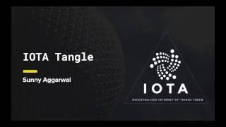 Whitepaper Circle: IOTA Tangle - Presented by Sunny Aggarwal